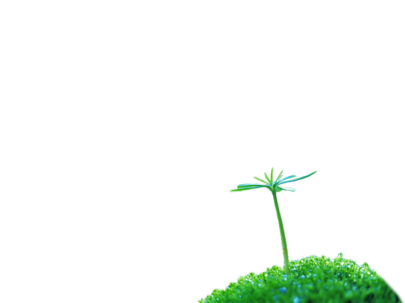 Kraft Seeds Gardening Tool Kit - 9 Pcs (Cultivator, Fork, Trowels, Weeder, Garden Hand Gloves, Pruner Cutter, Scissors, Flower Seeds Packet) | Garden Tools Kit for Home Gardens | Winter Flower Seeds