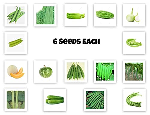 jk vegetable seeds combo 26 types of f1 hybrid seeds for terrace/lawn/balcony gardening high germination and high yield seed combo by shivam seeds and agritech
