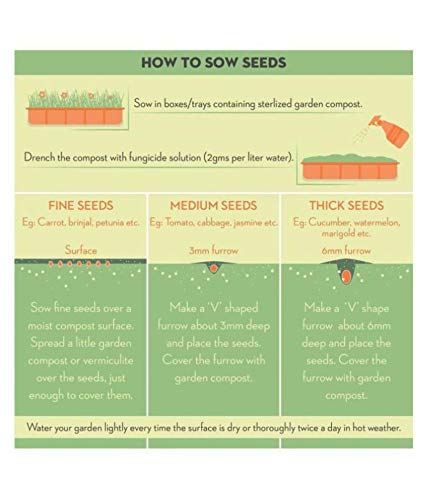 aero seeds combo of 640+ seeds 20 varieties of flower seeds for your garden beautiful bloom germination seeds