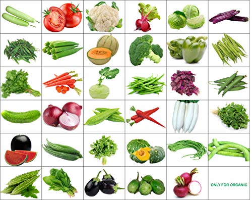 only for organic 35 varieties of seeds with instruction manual 1600+ seeds