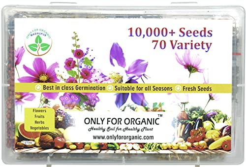 only for organic flower, fruit, herbs and vegetable seeds combo (10000+ seeds, 70 variety)