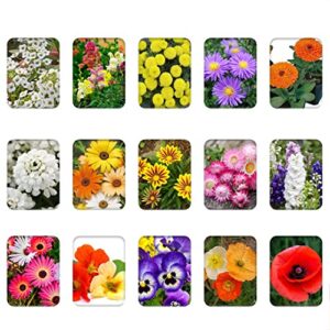kraft seeds fresh garden flower seeds (15 packets, mix approx 1000 seeds) flowering seeds for home gardening |all season flower seeds for indoor and outdoor |flowering seeds for terrace and balcony