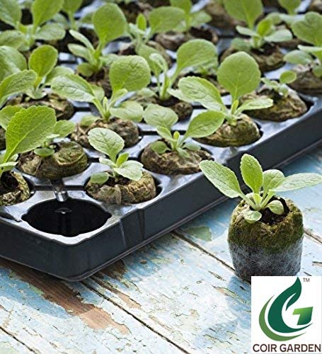 coir garden coir fiber seed germination kit, natural brown, 4x4x1 cm, 100 piece.