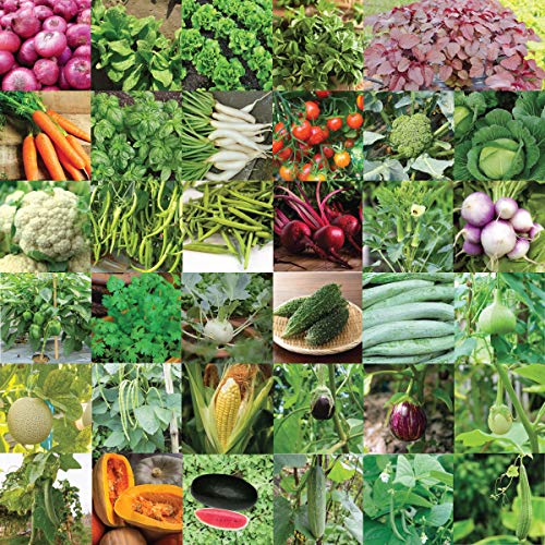 pyramid seeds indian vegetable seeds bank for home garden 35 varieties 1675 seeds