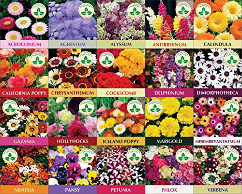 only for organic twenty winter flower seeds(4800+ seeds). get free cocopeat block and instruction manual