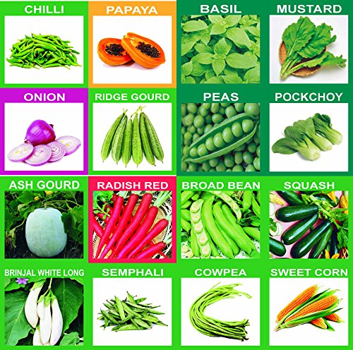 kriwin 51 varieties 2215+ seeds(organic/hybrid) fruits & vegetables seed with start your own garden guide booklet
