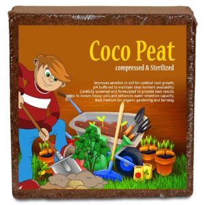 plants point nalla cocopeat block, expands up to 75 litres of coco peat powder for all seeds and plants (premium, export quality, 5 kgs)