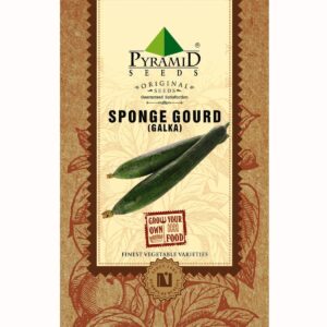 pyramid sponge gourd seeds (6g, green)