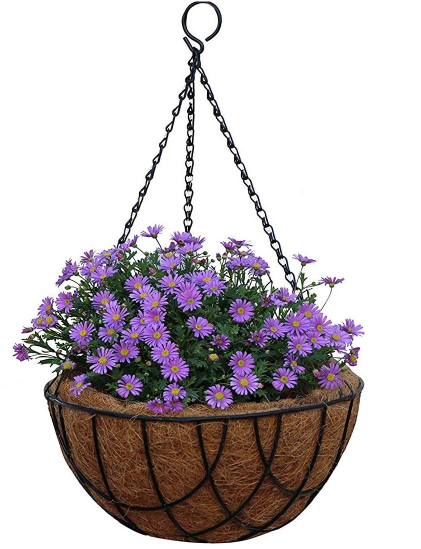ecopal plastic coir hanging basket 8 inch pack of 5 (21 cm) metal hanging planter basket with coco coir liner and chain garden decoration for indoor outdoor