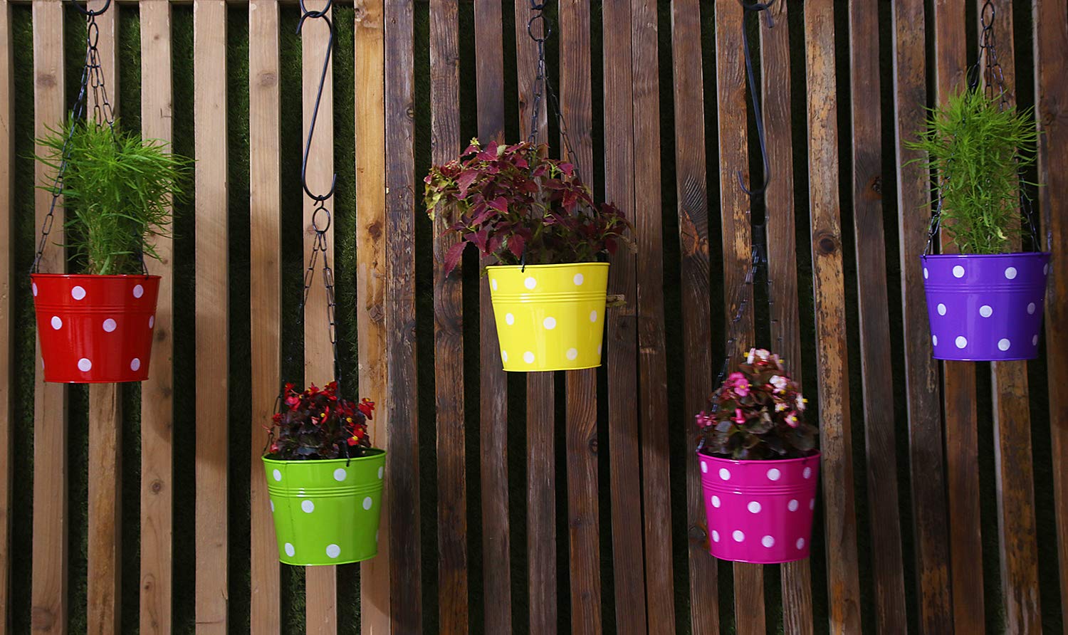 leafy tales metal chain hanging planter set of 5 (rust free red, green, yellow, pink, purple) with chains, 14 cm x 17 cm x 14.5 cm