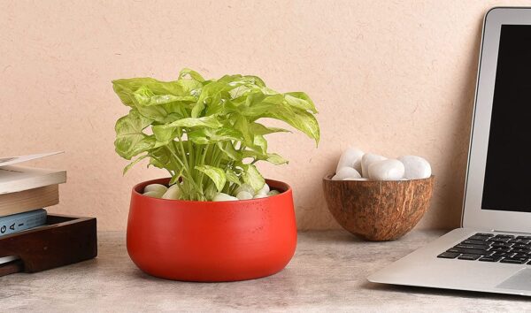 elemntl metal planter pot for indoor plants & flowers | 5.5 x 3 in | table top planter for living room, home decor, terrace, balcony & home gardening (matte black, 1)