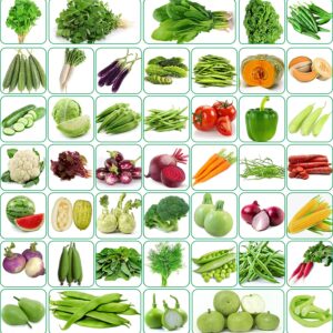 agnico 45 varieties of vegetable seeds 2665+ high germination seeds for your garden with instruction manual