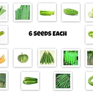 jk vegetable seeds combo 26 types of f1 hybrid seeds for terrace/lawn/balcony gardening high germination and high yield seed combo by shivam seeds and agritech