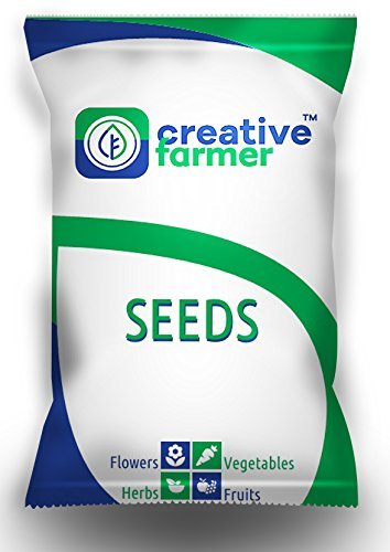 creative farmer flower seeds : light pink bowl lotus seeds garden 15 seeds mixed seeds garden [home garden seeds eco pack] plant seeds