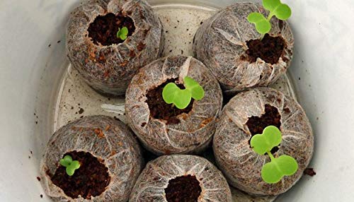 we hydroponics coco pellets 50mm set of 35, jiffy made, soilless germination medium, coco disc