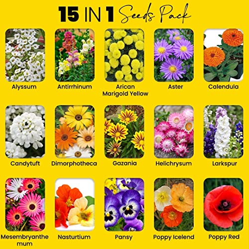 kraft seeds fresh garden flower seeds (15 packets, mix approx 1000 seeds) flowering seeds for home gardening |all season flower seeds for indoor and outdoor |flowering seeds for terrace and balcony