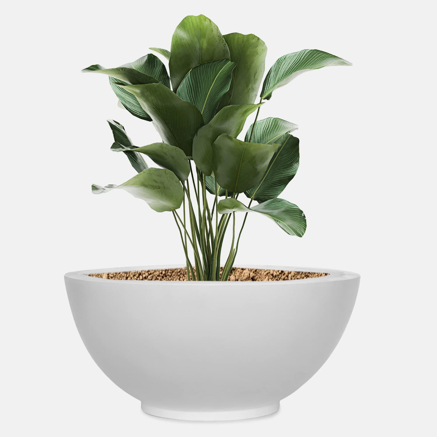 yuccabe italia fox b ktr white bowl planter pot 18 inches german plastic polymer planter pot suitable for garden indoor and outdoor
