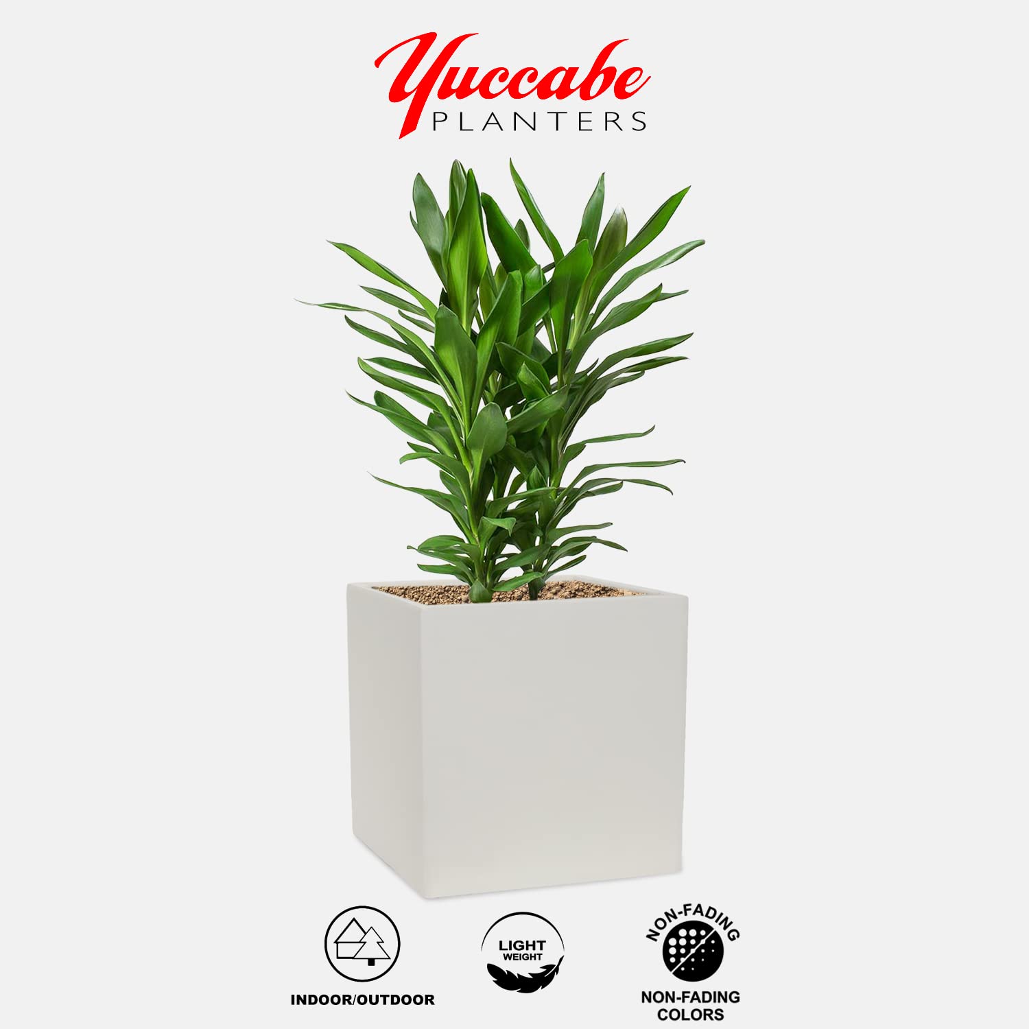 yuccabe italia cube 12 inches planters
