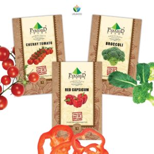 pyramid seeds exotic vegetable seeds combo of red cherry tomato, broccoli, red capsicum