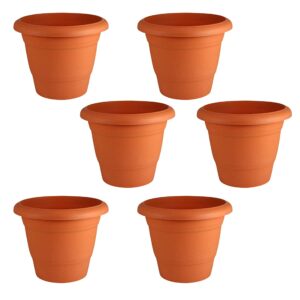 leafy tales plastic pots, terracotta color 6 inch pot size, 6 pieces, small (6" terracotta pot 6)