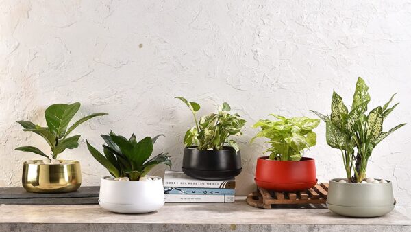 elemntl metal planter pot for indoor plants & flowers | 5.5 x 3 in | table top planter for living room, home decor, terrace, balcony & home gardening (matte black, 1)