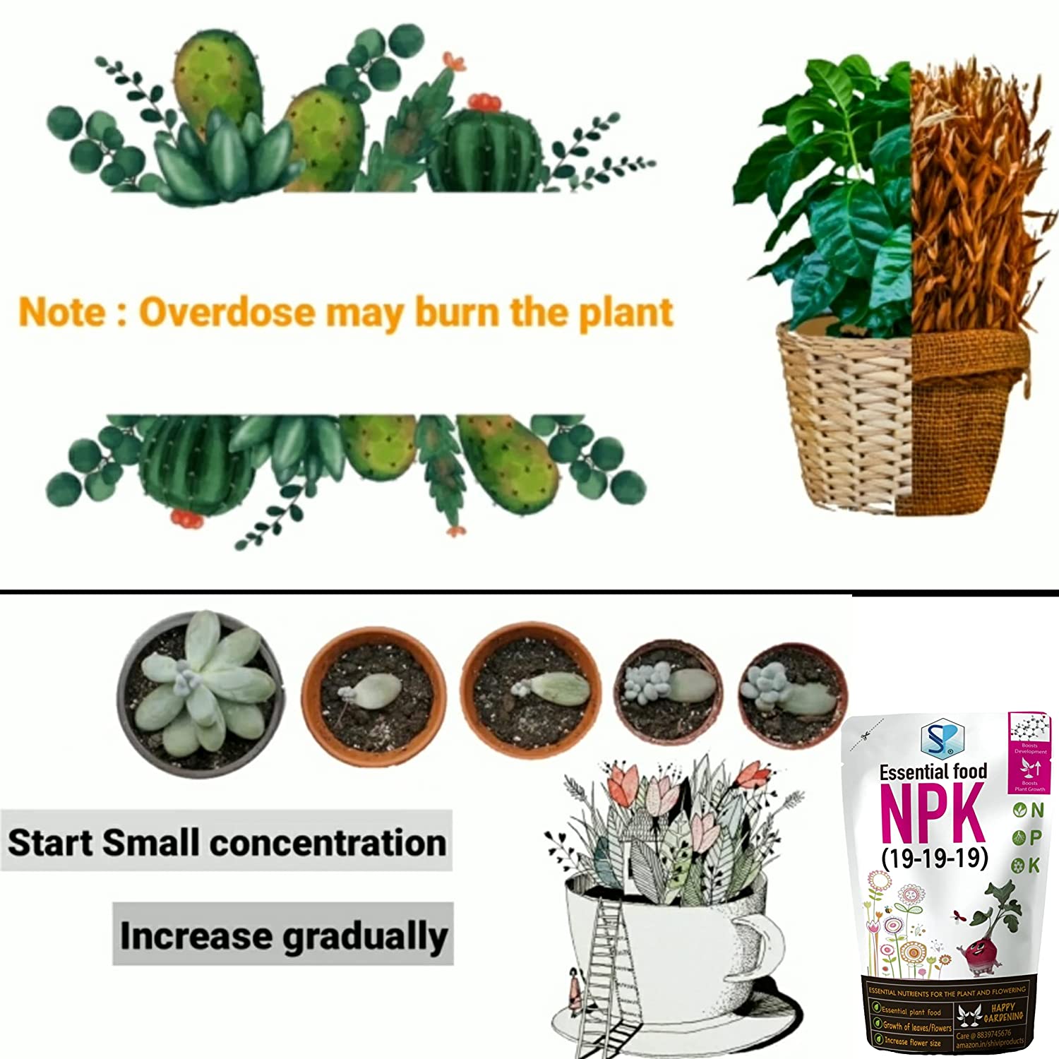 shiviproducts npk 19 19 19 fertilizers for plants 900gm | for home garden complete plant food, growth boost and flowering