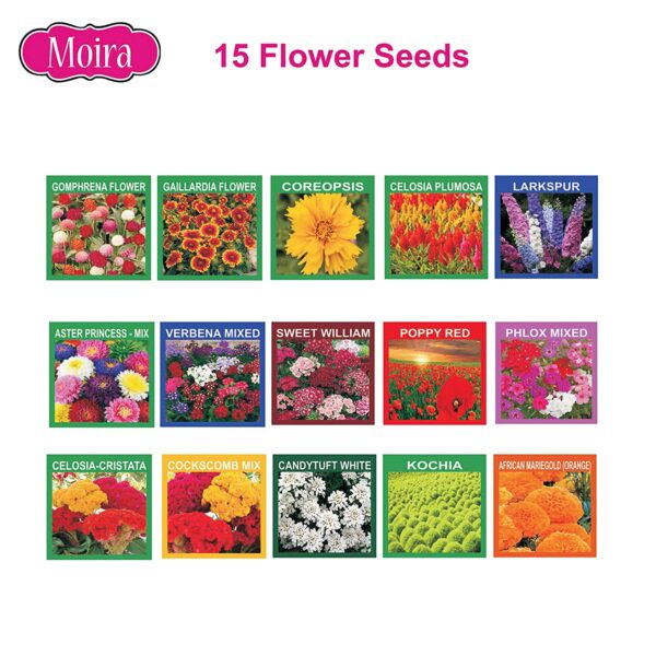 moira combo of 35 flower, vegetables and herbs seeds ( 8000 plus seeds)